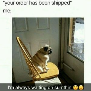 Meet your Posher, Ericka